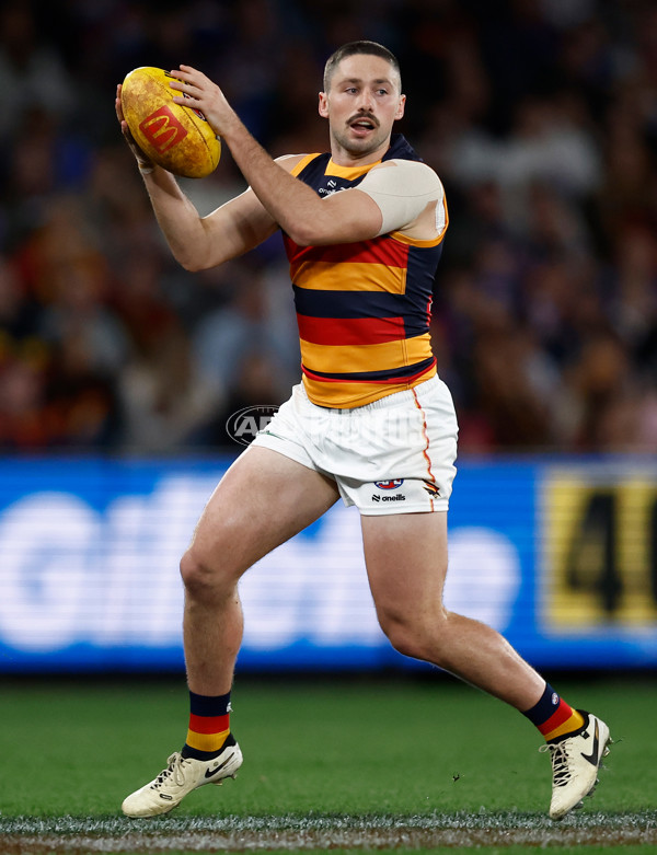 AFL 2025 Round 18 - Western Bulldogs v Adelaide - A-60483474
