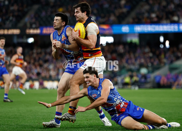 AFL 2025 Round 18 - Western Bulldogs v Adelaide - A-60483489