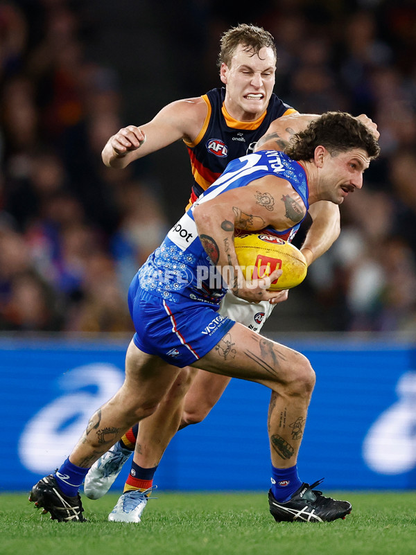 AFL 2025 Round 18 - Western Bulldogs v Adelaide - A-60483516