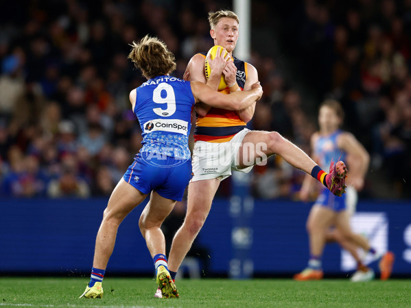 AFL 2025 Round 18 - Western Bulldogs v Adelaide - A-60483517