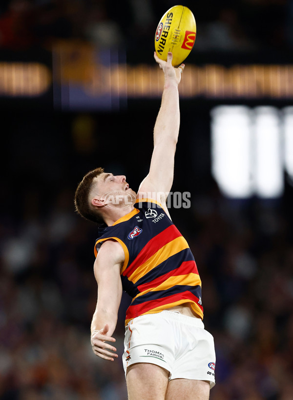 AFL 2025 Round 18 - Western Bulldogs v Adelaide - A-60484356
