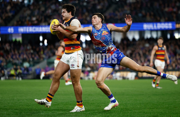 AFL 2025 Round 18 - Western Bulldogs v Adelaide - A-60484358