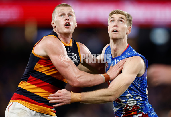 AFL 2025 Round 18 - Western Bulldogs v Adelaide - A-60484374