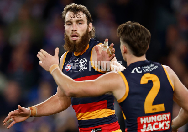 AFL 2025 Round 18 - Western Bulldogs v Adelaide - A-60484376