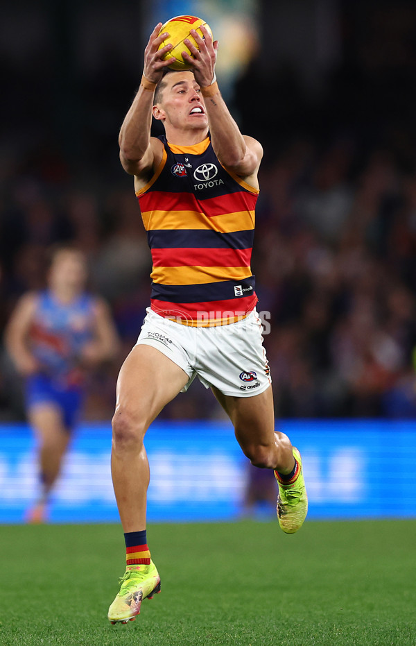 AFL 2025 Round 18 - Western Bulldogs v Adelaide - A-60484406