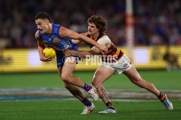 AFL 2025 Round 18 - Western Bulldogs v Adelaide - A-60484437
