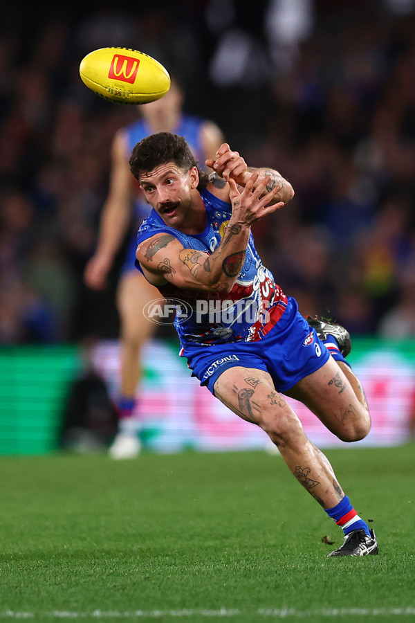 AFL 2025 Round 18 - Western Bulldogs v Adelaide - A-60484445