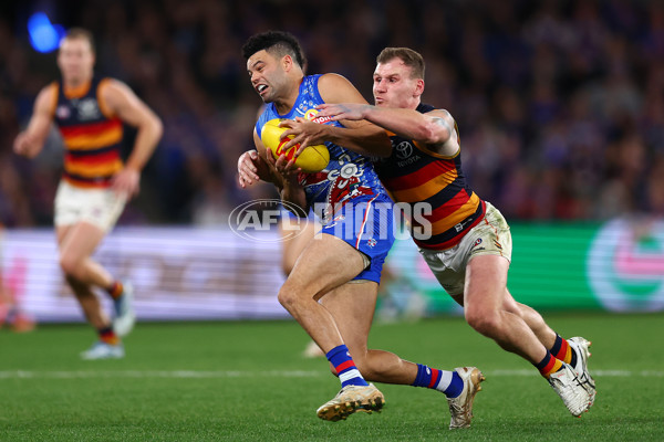 AFL 2025 Round 18 - Western Bulldogs v Adelaide - A-60485698