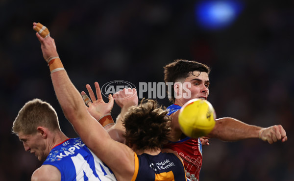 AFL 2025 Round 18 - Western Bulldogs v Adelaide - A-60485701