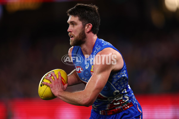 AFL 2025 Round 18 - Western Bulldogs v Adelaide - A-60485702