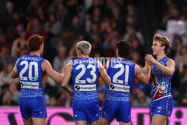 AFL 2025 Round 18 - Western Bulldogs v Adelaide - A-60485709