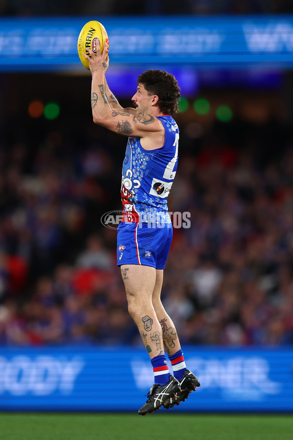 AFL 2025 Round 18 - Western Bulldogs v Adelaide - A-60485712