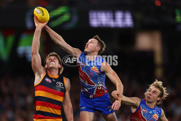 AFL 2025 Round 18 - Western Bulldogs v Adelaide - A-60485744