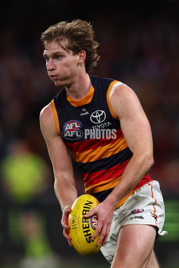 AFL 2025 Round 18 - Western Bulldogs v Adelaide - A-60486912