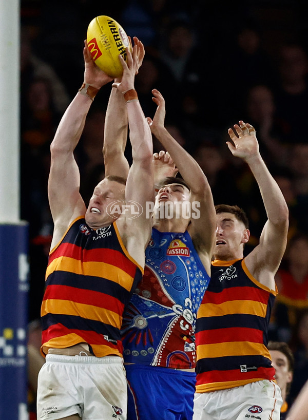 AFL 2025 Round 18 - Western Bulldogs v Adelaide - A-60486930
