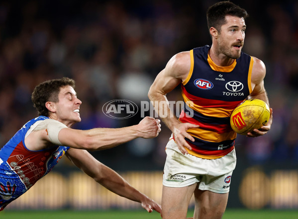 AFL 2025 Round 18 - Western Bulldogs v Adelaide - A-60488696