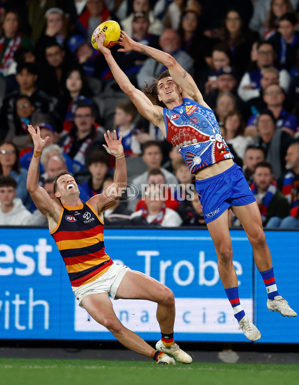 AFL 2025 Round 18 - Western Bulldogs v Adelaide - A-60489654