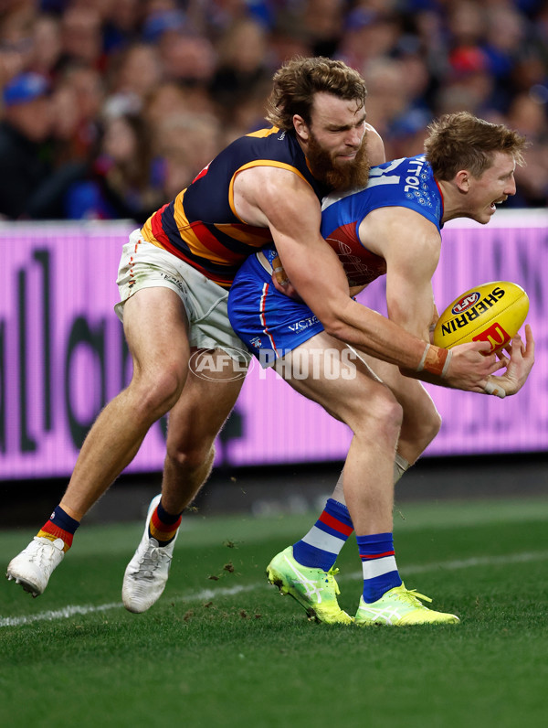 AFL 2025 Round 18 - Western Bulldogs v Adelaide - A-60489656