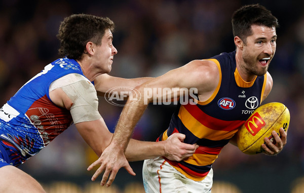 AFL 2025 Round 18 - Western Bulldogs v Adelaide - A-60490722