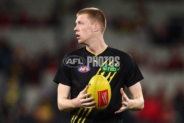 AFL 2025 Round 18 - Richmond v Essendon - A-60495524