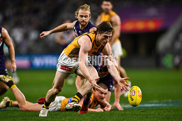 AFL 2025 Round 18 - Fremantle v Hawthorn - A-60504296