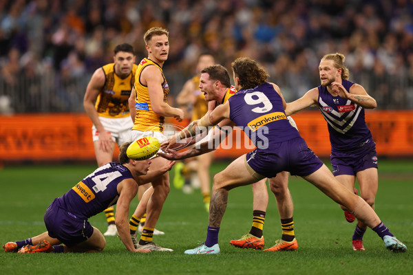 AFL 2025 Round 18 - Fremantle v Hawthorn - A-60505178