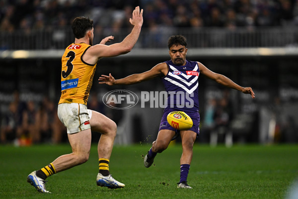 AFL 2025 Round 18 - Fremantle v Hawthorn - A-60510825