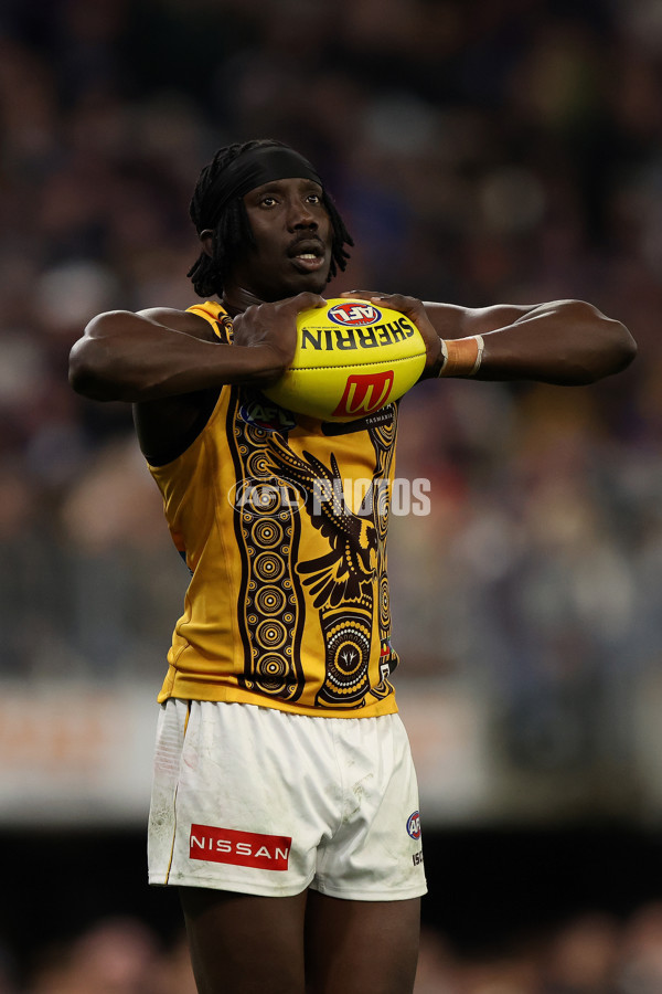 AFL 2025 Round 18 - Fremantle v Hawthorn - A-60510845