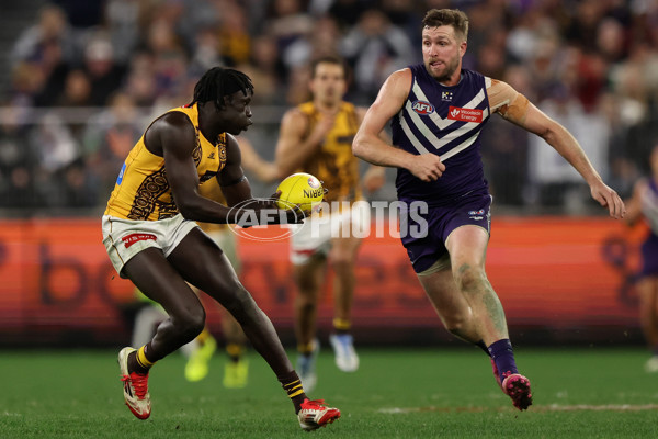 AFL 2025 Round 18 - Fremantle v Hawthorn - A-60513920