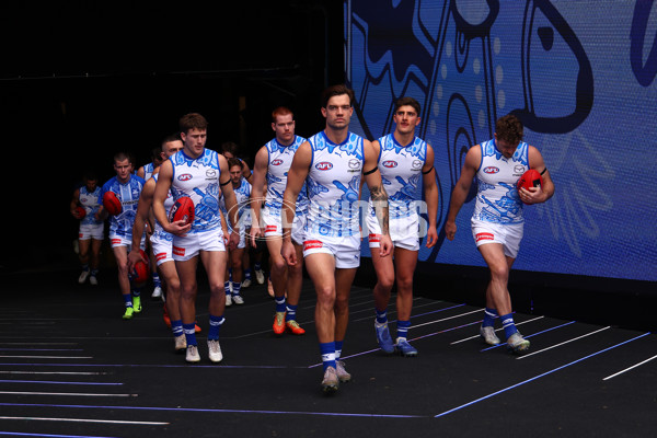 AFL 2025 Round 18 - Melbourne v North Melbourne - A-60518252
