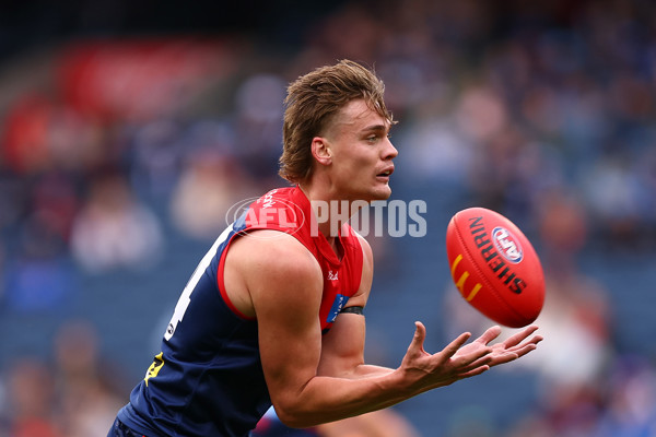 AFL 2025 Round 18 - Melbourne v North Melbourne - A-60518271