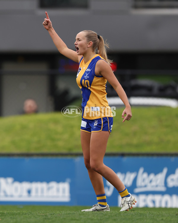 VFLW 2025 Round 12 - Darebin v Williamstown - A-60518287