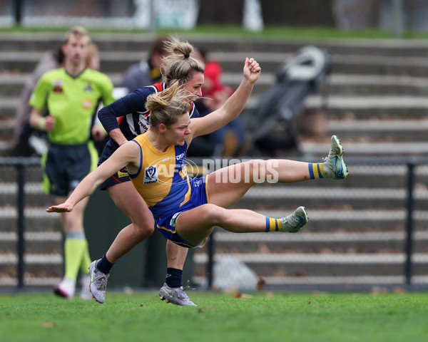 VFLW 2025 Round 12 - Darebin v Williamstown - A-60519533