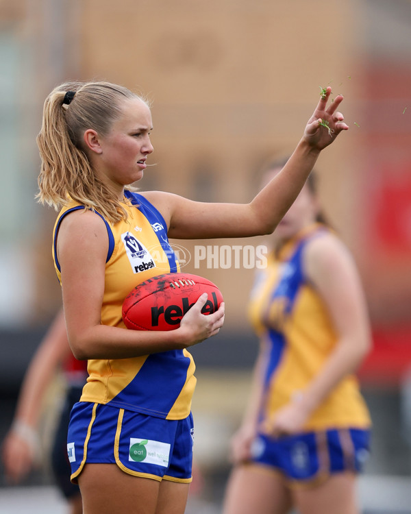 VFLW 2025 Round 12 - Darebin v Williamstown - A-60519535