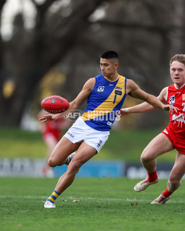 VFL 2025 Round 16 - Northern Bullants v Williamstown - A-60524986