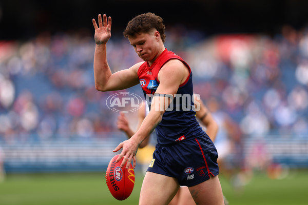 AFL 2025 Round 18 - Melbourne v North Melbourne - A-60525025