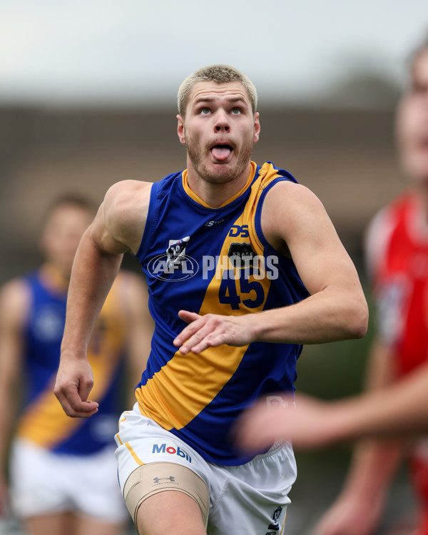 VFL 2025 Round 16 - Northern Bullants v Williamstown - A-60528735