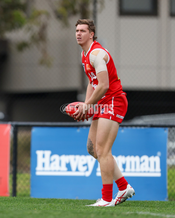 VFL 2025 Round 16 - Northern Bullants v Williamstown - A-60534854