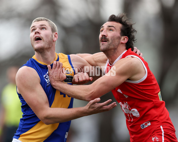 VFL 2025 Round 16 - Northern Bullants v Williamstown - A-60535943
