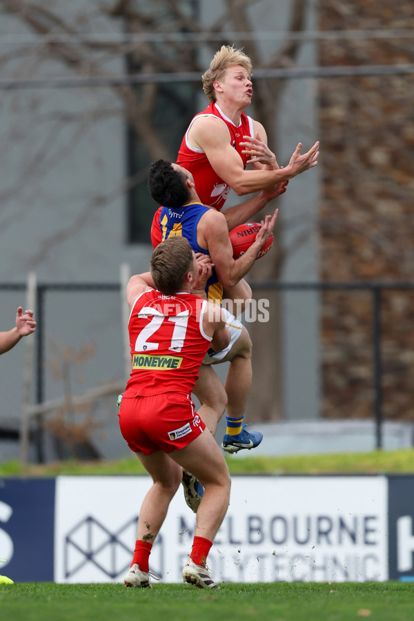 VFL 2025 Round 16 - Northern Bullants v Williamstown - A-60535950