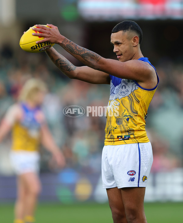 AFL 2025 Round 18 - Port Adelaide v West Coast - A-60538208