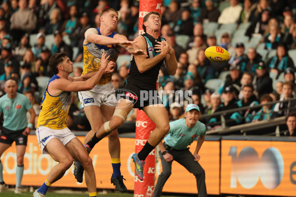 AFL 2025 Round 18 - Port Adelaide v West Coast - A-60540013