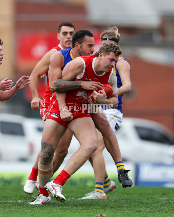 VFL 2025 Round 16 - Northern Bullants v Williamstown - A-60540080