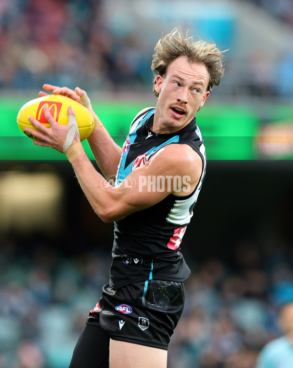 AFL 2025 Round 18 - Port Adelaide v West Coast - A-60540937