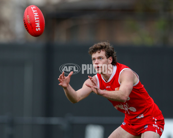 VFL 2025 Round 16 - Northern Bullants v Williamstown - A-60540947