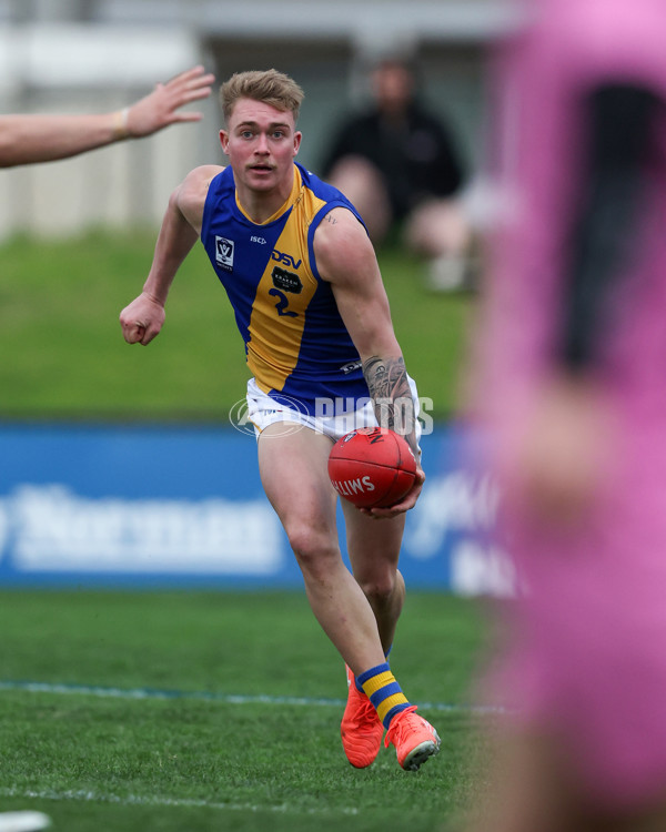 VFL 2025 Round 16 - Northern Bullants v Williamstown - A-60540957