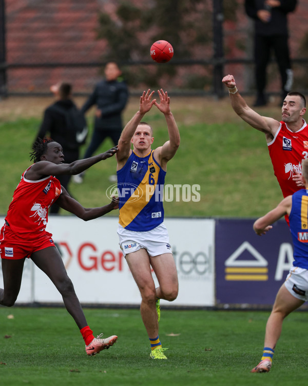 VFL 2025 Round 16 - Northern Bullants v Williamstown - A-60540960