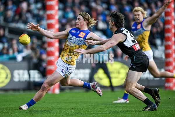 AFL 2025 Round 18 - Port Adelaide v West Coast - A-60540993