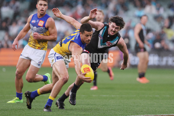 AFL 2025 Round 18 - Port Adelaide v West Coast - A-60542840