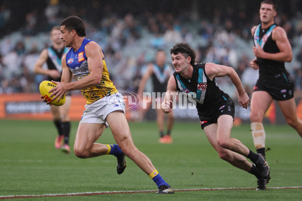 AFL 2025 Round 18 - Port Adelaide v West Coast - A-60542841
